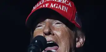 Estrellas porno piden a los hombres votar contra Donald Trump Estrellas porno piden a los hombres votar contra Donald Trump