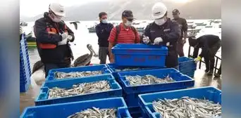 Produce autoriza reinicio de pesca de pejerrey desde el 27 de octubre