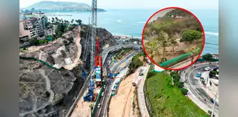 Vecinos de Barranco denuncian destrucción de áreas verdes por obras de corredor turístico que unirá con Miraflores