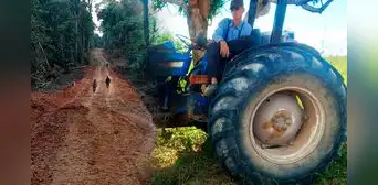 Fiscalía pide más de 8 años de prisión efectiva para menonitas, grupo religioso que deforesta la Amazonía