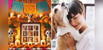 50 frases del Día de Muertos de mascotas 2024: cortas y emotivas para dedicar a tu perro o gato fallecido