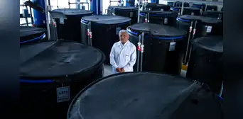 Desde el océano para los campos: científicos peruanos crean un producto con algas para ayudar a los cultivos