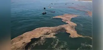 Naciones Unidas destaca acciones frente al derrame de los 12.000 barriles de petróleo en Ventanilla