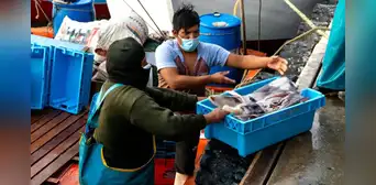 PRODUCE otorga solo 15 días para proponer cambios a nuevo reglamento de pesca de pota