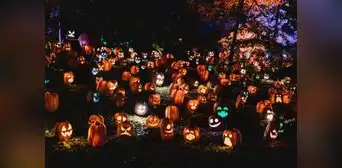 ¿Buscas un Halloween único? Las 3 mejores ciudades de Estados Unidos donde vivirás una noche inolvidable