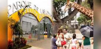 Ingresa gratis al Parque de las Leyendas por el Día de los Muertos: cuáles son los requisitos y actividades que se realizarán Ingresa gratis al Parque de las Leyendas por el Día de los Muertos: cuáles son los requisitos y actividades que se realizarán