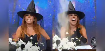 Magaly Medina sale vestida de bruja en su show y cuenta espeluznante 'testimonio': "Salgo a recolectar gatos muertos" Magaly Medina sale vestida de bruja en su show y cuenta espeluznante 'testimonio': "Salgo a recolectar gatos muertos"