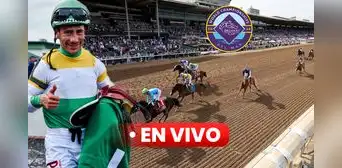 TRANSMISIÓN Breeders' Cup 2024 EN VIVO GRATIS con Junior Alvarado por Disney Plus: VER la CARRERA y quién ganó TRANSMISIÓN Breeders' Cup 2024 EN VIVO GRATIS con Junior Alvarado por Disney Plus: VER la CARRERA y quién ganó