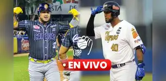 [Televen EN VIVO] VER Leones del Caracas vs Tigres HOY, 3 de noviembre: juego por la LVBP 2024-25 GRATIS