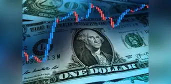 Precio del Dolar BCV y Dólar Paralelo HOY, 3 de noviembre en Venezuela, vía Banco Centra Precio del Dolar BCV y Dólar Paralelo HOY, 3 de noviembre en Venezuela, vía Banco Centra