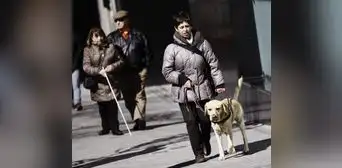 Seguro Social en EE.UU. 2025: LISTA de MILLONARIOS con discapacidad visual que recibirían pagos de US$3.000 en USA