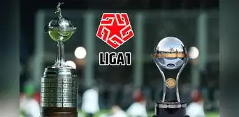 Copa Libertadores y Sudamericana 2025: ¿qué equipos de la Liga 1 clasificaron y qué instancia jugarán? Copa Libertadores y Sudamericana 2025: ¿qué equipos de la Liga 1 clasificaron y qué instancia jugarán?