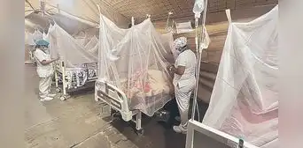 Vacunarán contra el dengue a niños y adolescentes de cuatro regiones del país