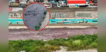 Río Rímac en grave estado de contaminación: principal fuente de agua de Lima luce negro y con fétido olor Río Rímac en grave estado de contaminación: principal fuente de agua de Lima luce negro y con fétido olor