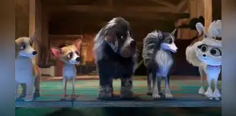 Ya está en los cines 'Aventuras Caninas: El Misterio de la Corona'