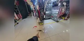 Dos heridos deja explosión de granada en mercado de SMP Dos heridos deja explosión de granada en mercado de SMP