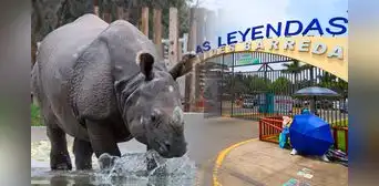 Parque de Las Leyendas lanza oferta de entradas a mitad de precio: requisitos y fecha límite de la promoción Parque de Las Leyendas lanza oferta de entradas a mitad de precio: requisitos y fecha límite de la promoción