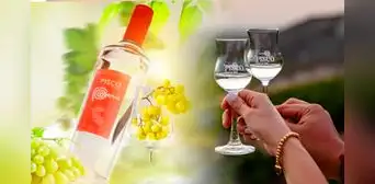 Gerente general de pisquera chilena indica que el pisco peruano deja mayor resaca: "Es un alcohol más impuro" Gerente general de pisquera chilena indica que el pisco peruano deja mayor resaca: "Es un alcohol más impuro"