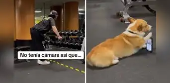 Joven es viral tras mostrar su asistente perruno en gimnasio: “Ganándose las croquetas”