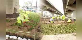 Obras de rehabilitación en puntos clave de Lima: recuperan áreas verdes en Óvalo Monitor, Alfredo Mendiola y avenida México