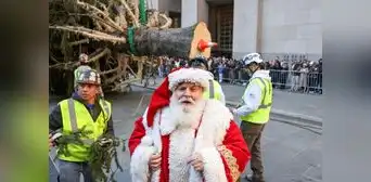 Árbol de Navidad gigante llegó a Nueva York: mide más de 20 metros y será encendido el próximo 4 de diciembre Árbol de Navidad gigante llegó a Nueva York: mide más de 20 metros y será encendido el próximo 4 de diciembre