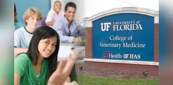 Estados Unidos 2024: los tipos de becas para estudiantes inmigrantes en Florida y cómo acceder