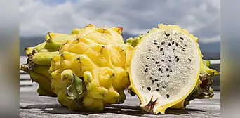 Pitahaya: beneficios, propiedades y desventajas de comer la 'Fruta del dragón' Pitahaya: beneficios, propiedades y desventajas de comer la 'Fruta del dragón'