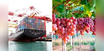 Perú en el top 5 de mayores exportadores de América Latina y El Caribe: ¿cuáles fueron los productos más solicitados? Perú en el top 5 de mayores exportadores de América Latina y El Caribe: ¿cuáles fueron los productos más solicitados?