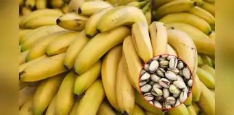 El fruto seco que supera al plátano: contiene más potasio y vitamina B6 en cada porción
