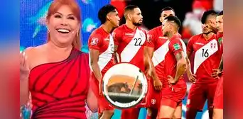 Futbolista de la selección peruana ampayado por Magaly Medina confiesa 'errores' en su matrimonio: "Nadie es perfecto" Futbolista de la selección peruana ampayado por Magaly Medina confiesa 'errores' en su matrimonio: "Nadie es perfecto"