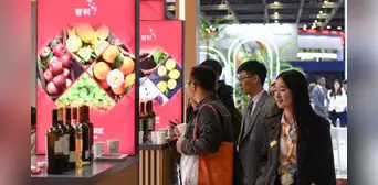 Abrazando el mercado chino en Shanghai: Países latinoamericanos fortalecen presencia en CIIE 2024 apostando por innovación y diversificación