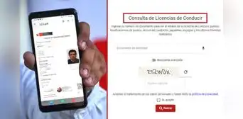 MTC ofrece herramienta gratuita para comprobar la validez de tu licencia de conducir en 2024 MTC ofrece herramienta gratuita para comprobar la validez de tu licencia de conducir en 2024