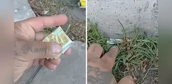 Influencer deja dinero escondido para que sus seguidores lo encuentren y es furor en redes
