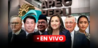 Dina Boluarte en APEC 2024, EN VIVO: condecoró a presidente de Vietnam, Luong Cuong, en Palacio de Gobierno Dina Boluarte en APEC 2024, EN VIVO: condecoró a presidente de Vietnam, Luong Cuong, en Palacio de Gobierno