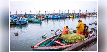 Tardanza de PRODUCE en reglamentar la ley de pesca artesanal favorece a la pesca ilegal Tardanza de PRODUCE en reglamentar la ley de pesca artesanal favorece a la pesca ilegal