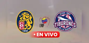 Leones del Caracas vs Tiburones de La Guaira EN VIVO HOY, 14 de noviembre: hora y canal del juego por la LVBP 2024