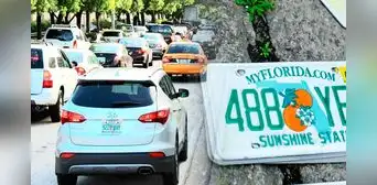 Conducir con placas personalizadas en Florida: las consecuencias legales y cómo afectan a conductores en EE. UU.