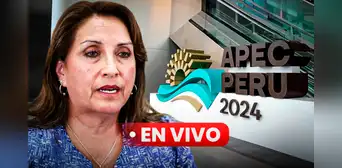 Dina Boluarte en APEC 2024, EN VIVO: últimas noticias sobre actividades de este viernes 15 de noviembre Dina Boluarte en APEC 2024, EN VIVO: últimas noticias sobre actividades de este viernes 15 de noviembre