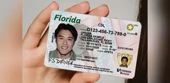 La fantástica noticia para inmigrantes en Florida: los 2 requisitos para obtener rápidamente tu Real ID en 2025 La fantástica noticia para inmigrantes en Florida: los 2 requisitos para obtener rápidamente tu Real ID en 2025