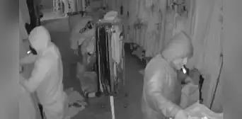 Los Olivos: Cámaras de seguridad muestran cómo delincuentes se llevan más de S/15.000 en mercadería de tienda
