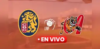 Ver juego de Leones del Caracas vs Tigres de Aragua EN VIVO por la LVBP: horario y canal de HOY, 16 de noviembre