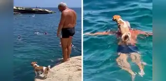 Adulto mayor y su perrito enternecen en redes al realizar clavados en el mar: “Una conexión especial” Adulto mayor y su perrito enternecen en redes al realizar clavados en el mar: “Una conexión especial”