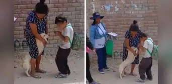 Niño enternece al bailarle a su perrito para distraerlo de su vacuna: “¡Todo estará bien, amigo!” Niño enternece al bailarle a su perrito para distraerlo de su vacuna: “¡Todo estará bien, amigo!”
