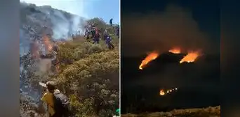 Incendios forestales en Piura arrasan bosques y cultivos: crisis hídrica agrava situación en Huancabamba Incendios forestales en Piura arrasan bosques y cultivos: crisis hídrica agrava situación en Huancabamba