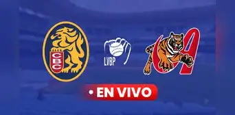 ¡Dulce venganza! Leones del Caracas vencieron 8-2 a Tigres e igualaron serie particular por la LVBP 2024-25 ¡Dulce venganza! Leones del Caracas vencieron 8-2 a Tigres e igualaron serie particular por la LVBP 2024-25