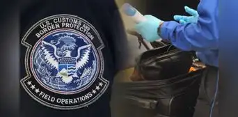 ¡Alerta viajero! Estados Unidos anuncia los 4 artículos que podrían generarte una multa si lo llevas en tu maleta ¡Alerta viajero! Estados Unidos anuncia los 4 artículos que podrían generarte una multa si lo llevas en tu maleta