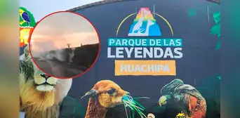 Incendio forestal en el Parque de las Leyendas puso en peligro animales y trabajadores de la sede Huachipa Incendio forestal en el Parque de las Leyendas puso en peligro animales y trabajadores de la sede Huachipa