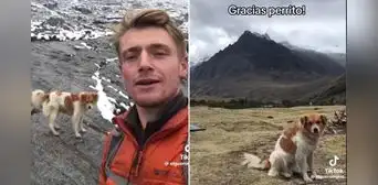 Perrito 'salvó' a montañista inglés que se perdió entre las montañas de Áncash, a casi 5.000 metros de altura