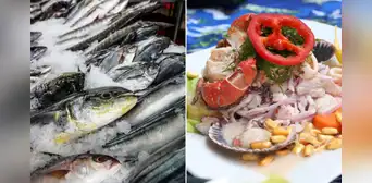 ¿Qué pescado es ideal para ceviche? Descubre las mejores especies para este plato peruano ¿Qué pescado es ideal para ceviche? Descubre las mejores especies para este plato peruano
