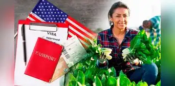 Buenas noticias, inmigrantes en EE. UU.: la nueva visa que te permitiría trabajar temporalmente de manera legal
